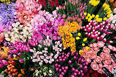 剑指萨瓦图恩的王座世界，《命运2》第16赛季总览